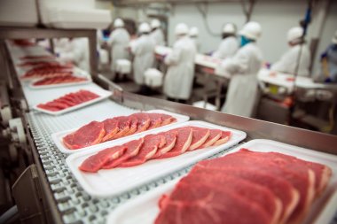 F.N. Sheppard: Essential Considerations for Meat  Conveyor Systems