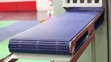 How Sanitary Design Enhances Food Safety in Conveyor Systems