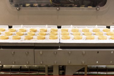 How Food Conveyor Belts Drive Efficiency in the Food Industry